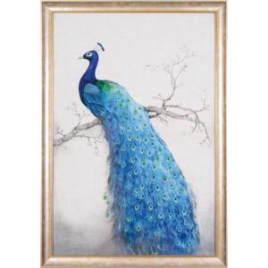 Tablou paun albastru Peacock Right | PRIMERA COLLECTION