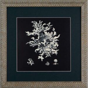 Tablou alb/negru Archive Coral (40x40cm) (4 modele) - 3
