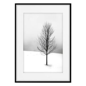 Tablou Snowy Tree, 50x70 cm
