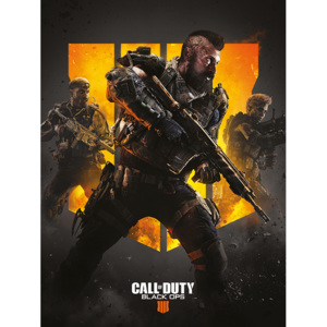 Call of Duty: Black Ops 4 - Trio Tablou Canvas, (60 x 80 cm)