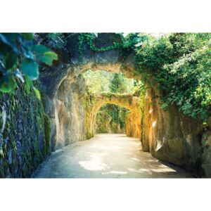 Garden Tunnel Fototapet, (368 x 254 cm)
