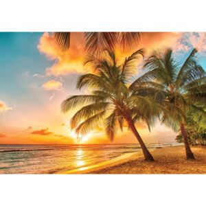 Tropical Beach Sunset Palm Trees Fototapet, (254 x 184 cm)