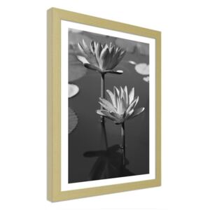 CARO Imagine în cadru - Lilies In A Pond 30x40 cm Natural