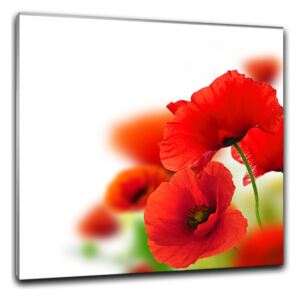 Tablou pe sticlă - Styler Poppy Poppy 2 - 30x30 cm