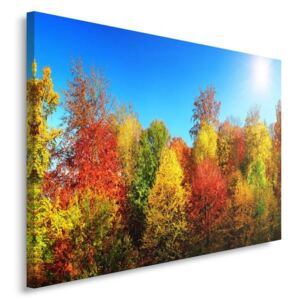 CARO Tablou pe pânză - Autumn Trees 40x30 cm