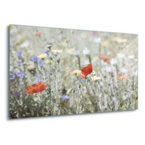 GLIX Tablou pe sticlă - Meadow Colours 100x75 cm