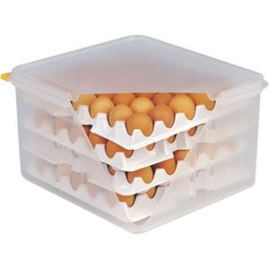 Cutie cu cartoane pentru ouă APS 28x28 cm, inclusiv 8 cartoane