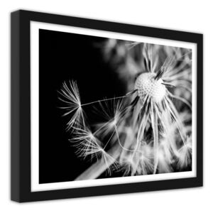 CARO Imagine în cadru - Dandelion 2 50x40 cm Negru