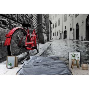 Fototapet - Black And White Red Bicycle Old Street Vliesová tapeta - 254x184 cm