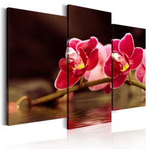 Tablou - Orchidea na vodě 60x50 cm