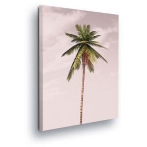 Tablou - Palma in Pink 60x40 cm