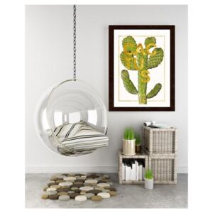 CARO Imagine în cadru - Cactus 30x40 cm Maro