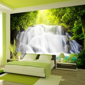 Fototapet - Arcadian waterfall 400x280 cm