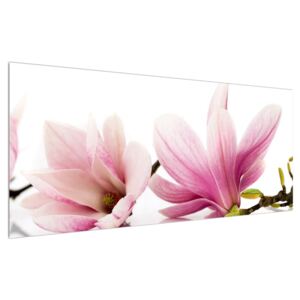 Tablou cu flori (Modern tablou, K011179K12050)
