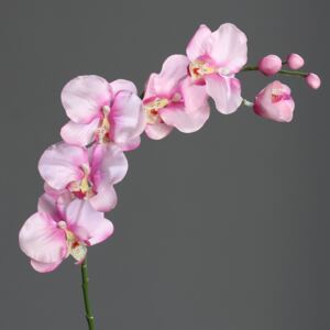 Orhidee artificiala fir roz - 72 cm