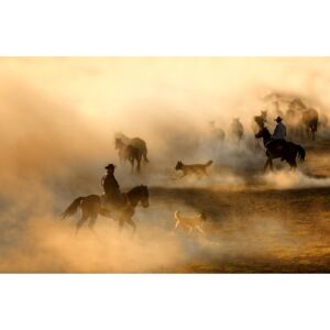 Artă fotografică Horses, durmusceylan