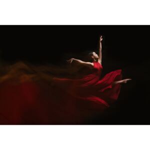 Artă fotografică Flow of Dance, Rob Li