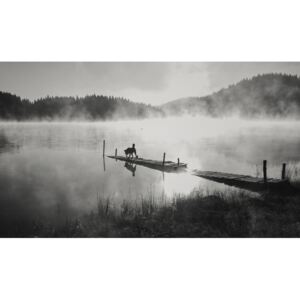 Fotografii artistice In the fog, Zlatina Peeva