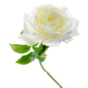 Decoratiune floare, trandafir alb