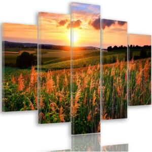 CARO Tablou pe pânză - Sunset Over Fields 100x70 cm