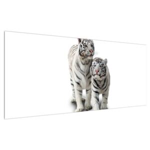 Tablou cu tigrul alb (Modern tablou, K011270K12050)