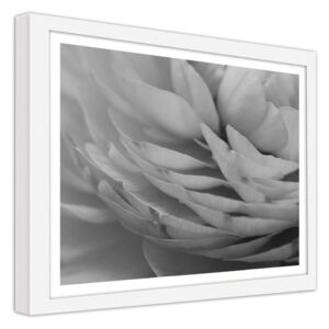 CARO Imagine în cadru - Jaskier Płatki Kwiatu 50x40 cm Alb
