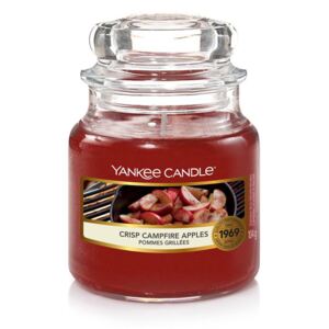Yankee Candle parfumata lumanare Classic mica