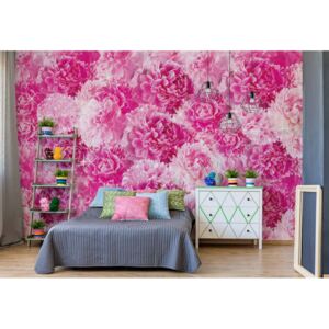 Fototapet - Pretty Pink Flowers Vliesová tapeta - 368x254 cm