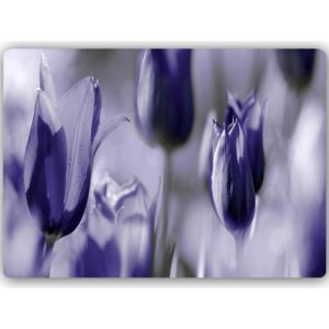 CARO Tablou metalic - Purple Tulips 70x50 cm