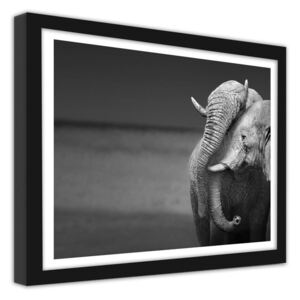 CARO Imagine în cadru - The Family Of Elephants 70x50 cm Negru