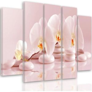 CARO Tablou pe pânză - Orchid On Stones 100x70 cm