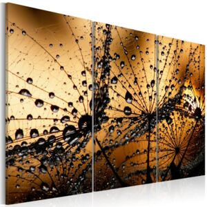 Tablou - Dandelions And Dew 120x80 cm