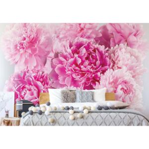 Fototapet - Soft Pastel Pink Flowers Vliesová tapeta - 254x184 cm