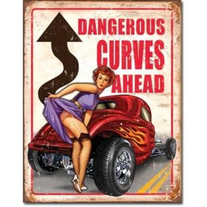 LEGENDS - dangerous curves Placă metalică, (32 x 41 cm)