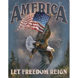 AMERICA - let freedom reign Placă metalică, (32 x 41 cm)