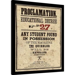 Harry Potter - Educational Decree No. 27 Afiș înrămat