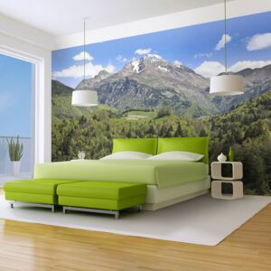 Fototapet - Holiday in the mountains 350x270 cm