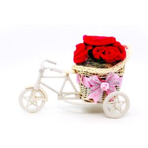 Bicicleta cu flori plus