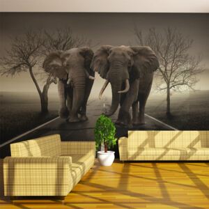 Fototapet - City of elephants 450x270 cm