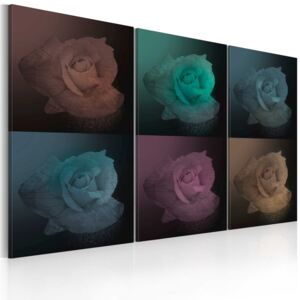 Tablou - Six shades of rose 120x80 cm