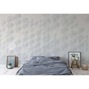 Fototapet - Modern 3D Grey Hexagonal Pattern Vliesová tapeta - 312x219 cm