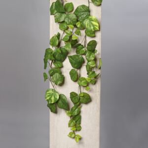 Plante artificiale curgatoare verde - 180 cm