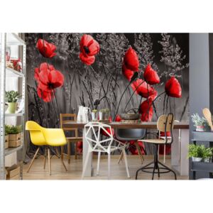Fototapet - Red Poppies Black And White Vliesová tapeta - 416x254 cm