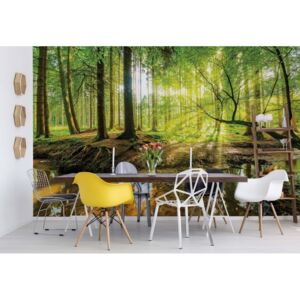 GLIX Fototapet - Forest Lake Papírová tapeta - 368x280 cm