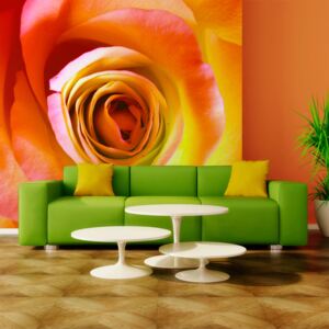 Fototapet Bimago - Desert rose + Adeziv gratuit 200x154 cm