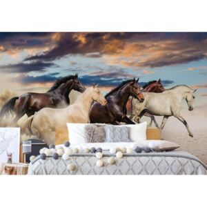 Fototapet - Galloping Horses Vliesová tapeta - 416x290 cm