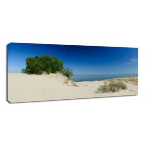 CARO Tablou pe pânză - Dune Landscape 50x20 cm
