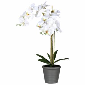 Orhidee Phalaenopsis albă în vas ceramic gri, 65 cm