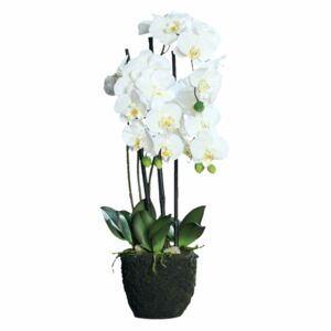 Orhidee artificială cu aspect 100% natural în bilă de pământ, 55 cm