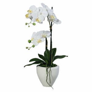 Orhidee Phalaenopsis în vas ceramic alb, aspect 100% natural, 57 cm